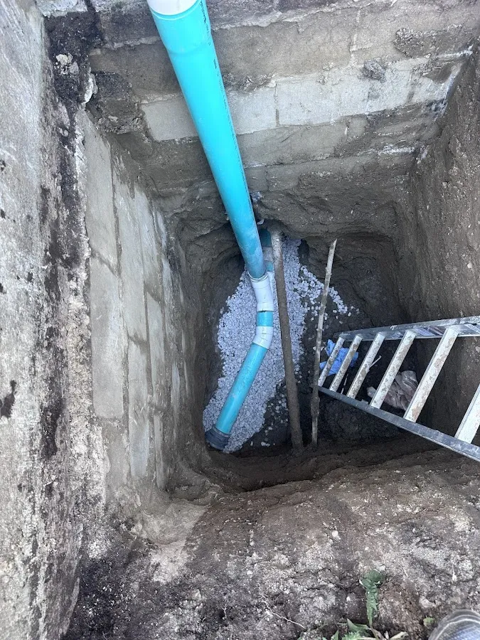 Basement floor showing water staining, mold growth, and wet marks near doorway indicating past flooding