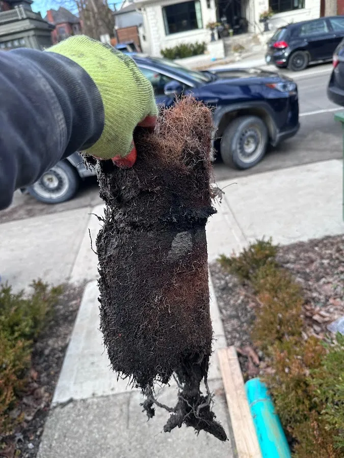 Black sediment and debris being extracted from drain pipe during professional cleaning